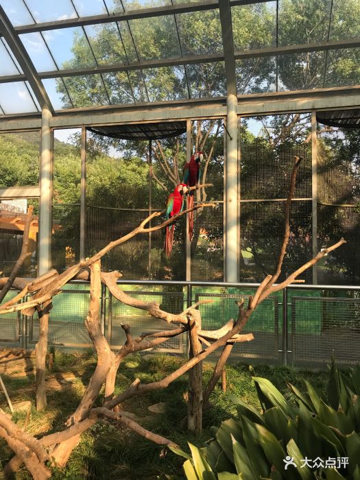 無錫動物園·太湖歡樂園圖片 - 第56張