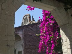 -金谷域澳洲庄园