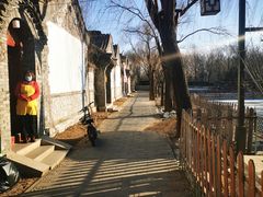 -尚庄度假村·庭台树下·户外烧烤·团建CS·轰趴营地(上庄水库店)