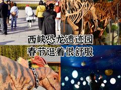 -中国西峡恐龙遗迹园