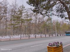 -领仕扒房(长春店)