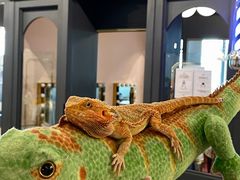 -FAIRYLAND龙族星球主题餐厅(凯丹广场店)