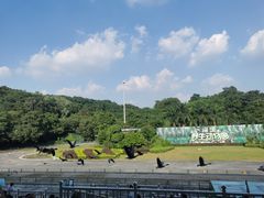 -深圳野生动物园