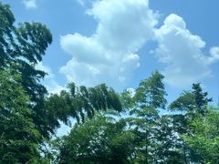 -平江沱龙峡漂流