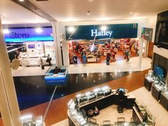 -蒙特利尔皮埃尔·埃利奥特·特鲁多国际机场