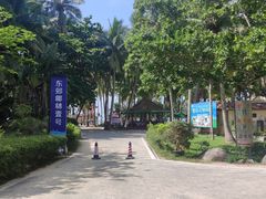 -东郊椰林
