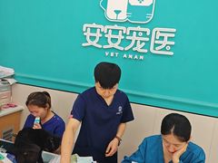 -安安宠医·臻爱宠物医院·宠保定点(营门口路分院)