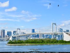 -台场海滨公园船码头