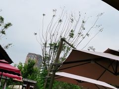 -凤翔首邑温泉度假村