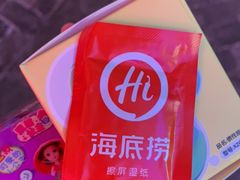 -海底捞火锅(铂澜大象城店)