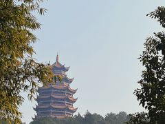 -铁山坪森林公园