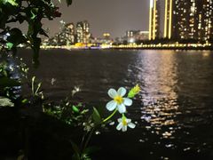 -粥旺庄(芳村店)