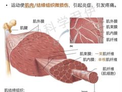 -UP健身私教馆(海岸城店)