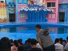 -华夏文旅海洋公园