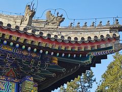 -颐和园