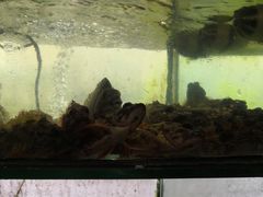 -合家小菜餐馆(新诚花苑店)