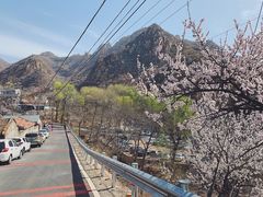 -大岭沟猕猴桃谷风景区