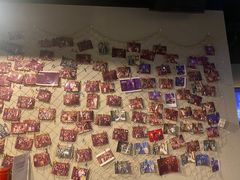 -Mr.Fox狐狸先生超级密室(南山店)