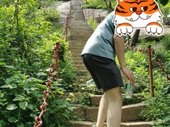 -鲁山国家森林公园