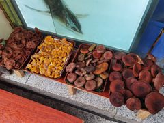 -草墩罗非鱼庄•野生菌•腊排骨(七星街上段店)