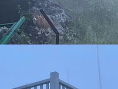 -东白山