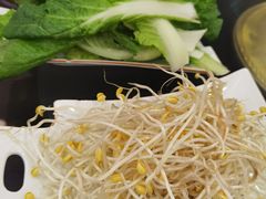 -石磨豆花家常菜·牦牛排土火锅