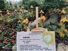 -南通洲际绿博园