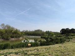 -塘沽森林公园