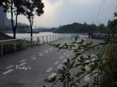 景点-新江湾城公园