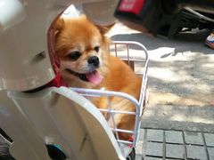-熙盛源(凤凰街店)
