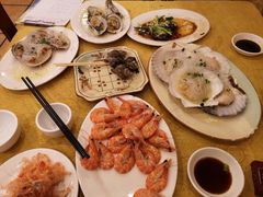 -鸿达渔港