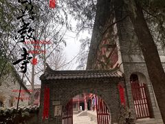-兴教寺