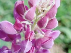 -长春公园(普阳街道)