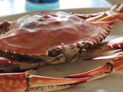 清蒸梭子蟹-映像威海·海鲜味道(市区店)