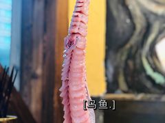 -土著渔匠·养生蝴蝶鱼(香樟路店)