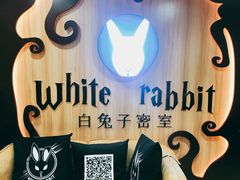 -白兔子密室(长寿路店)