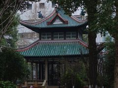 -长沙市青少年宫