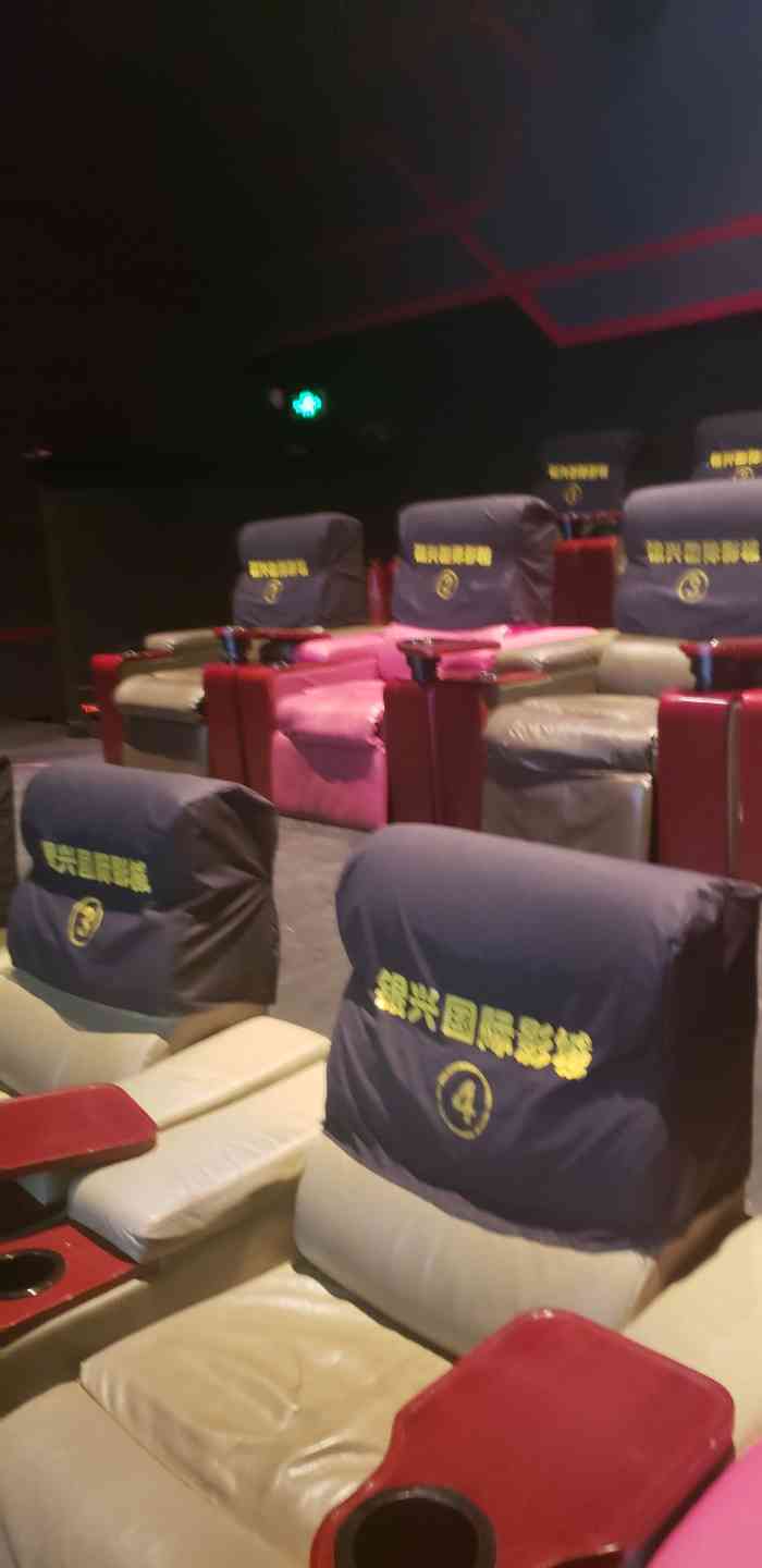 银兴国际影城(天津店)-"我是有多懒,四月份看的狂暴巨兽,现在才想.
