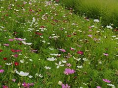 -汉长安城未央宫国家考古遗址公园