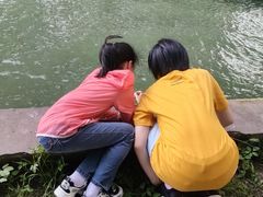 -金蔷薇·湖景庭院餐厅(环湖店)