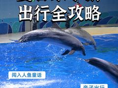 -石家庄极地海洋世界