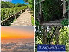 -梧桐山风景名胜区