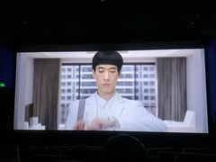 -新影联·华谊兄弟影院(望京店)