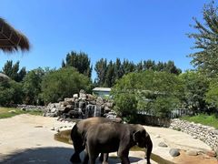 -北京野生动物园