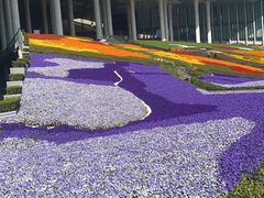 -国家会展中心