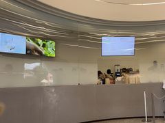 -喜茶(迪士尼小镇DP店)