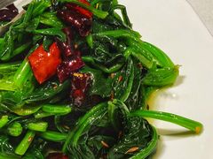 有记忆的菠菜-温度餐厅潮汕砂锅粥(方正2009南区店)
