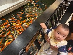-龙悦湾酒家·八阵鱼生·渔人码头店