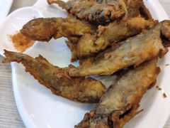 -东北王食府(科大店)