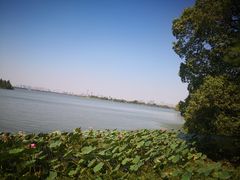 -东湖落雁景区